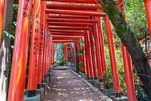 Red torii gates of Ishiura Shrine in Kanazawa, Japan