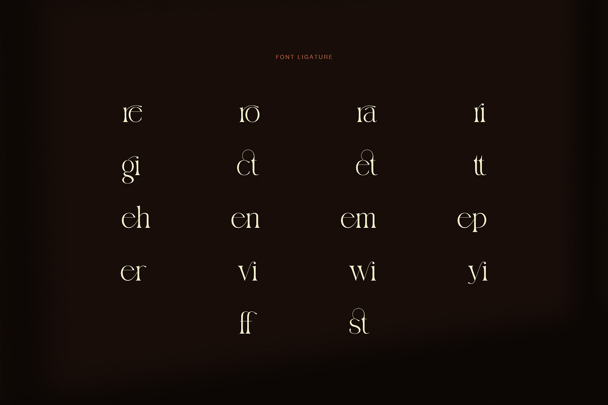 Ridrom Elegant Serif Font, a Serif Font by Graphicxell (Photo 8 of 8)