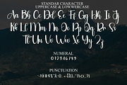 Wishline, a Handwritten Font by FreshTypeINK (Thumbnail 3 of 8)