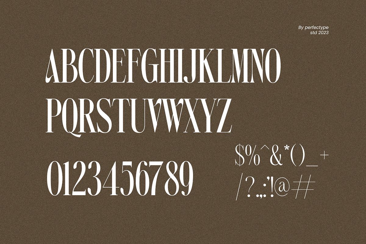 Sawome Elegant Serif Font Typeface, a Serif Font by Perfectype (Photo 7 of 7)