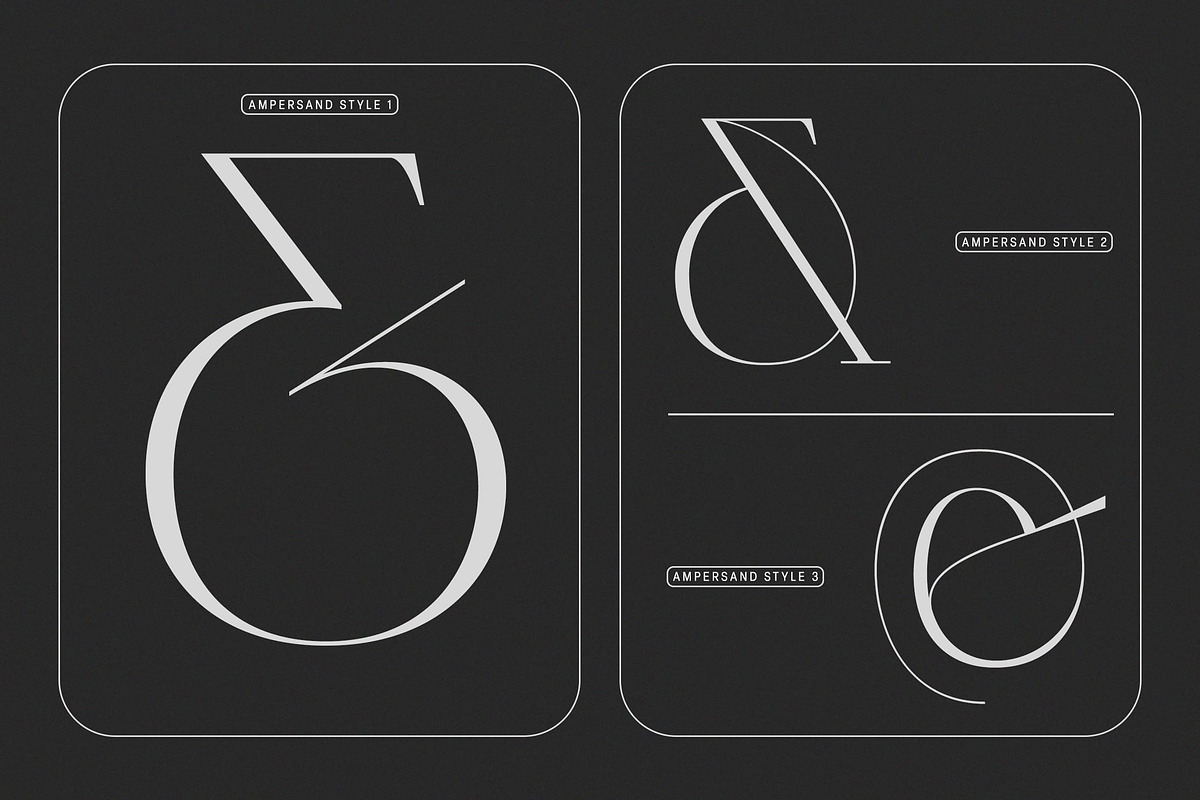 Polyglot Neue, a Serif Font by MJtypefoundry (Photo 2 of 13)
