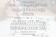 Happy Calligraphy | Script Font, a Handwritten Font by Scratchones (Thumbnail 7 of 8)