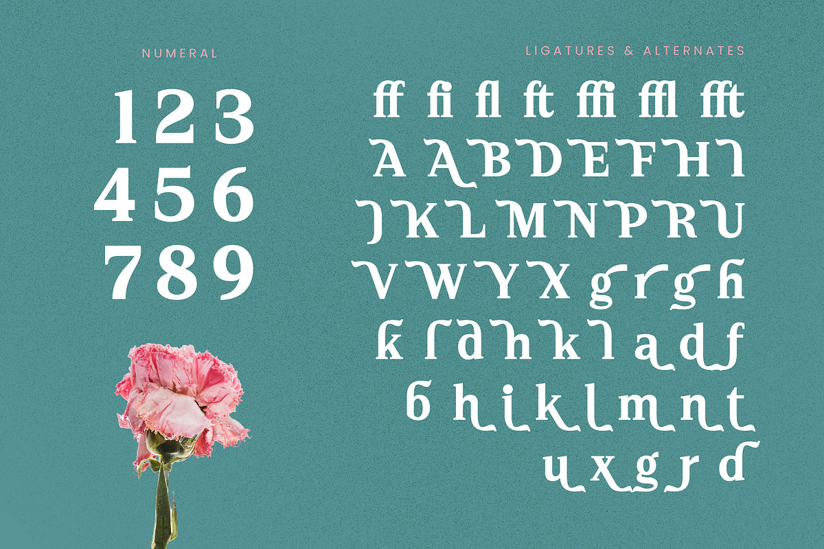 Neutral Trends Modern Display Serif, a Serif Font by timelesstype.co (Photo 18 of 20)