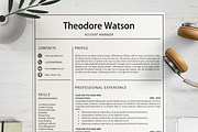 Professional Resume/ CV Bundle, a Resume Template by Wow Designs (Thumbnail 9 of 21)