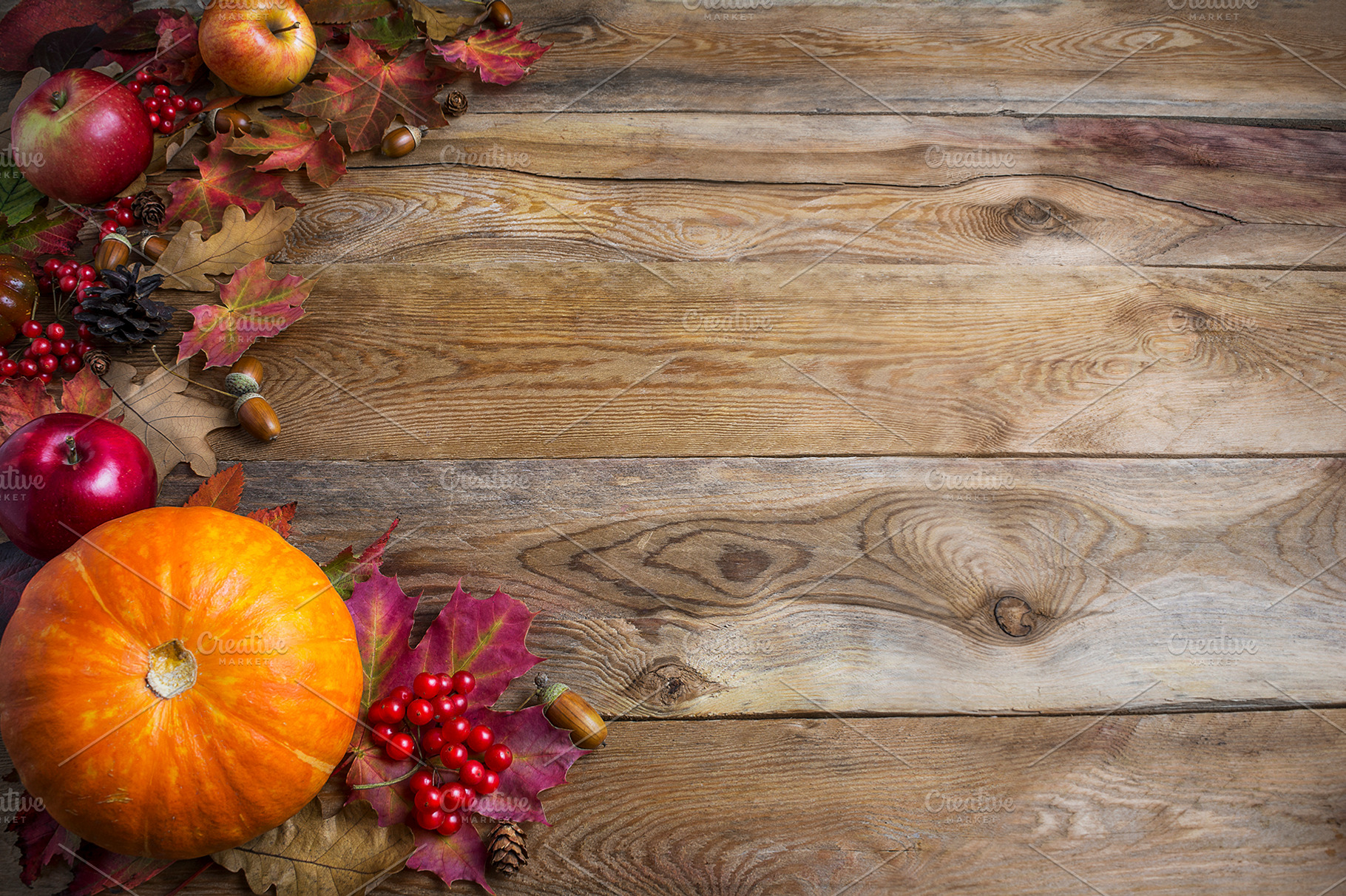 Thanksgiving  or fall greeting, a Holiday Photo by TasiPas