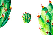 Tropical leaves watercolor, a Decorative Illustration by lilisavelieva (Thumbnail 3 of 4)