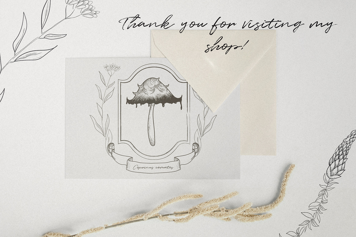 Hand Drawn Vector Vintage Mushrooms, a Decorative Illustration by foxsong (Photo 11 of 12)
