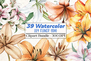 Watercolor Lily Flower Boho Clipart, an Illustration by DreamCafeArt