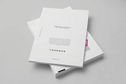 Back Cover A4 Magazine Mockup, a Books & Magazine Mockup by DesignRushMarket (Thumbnail 2 of 2)