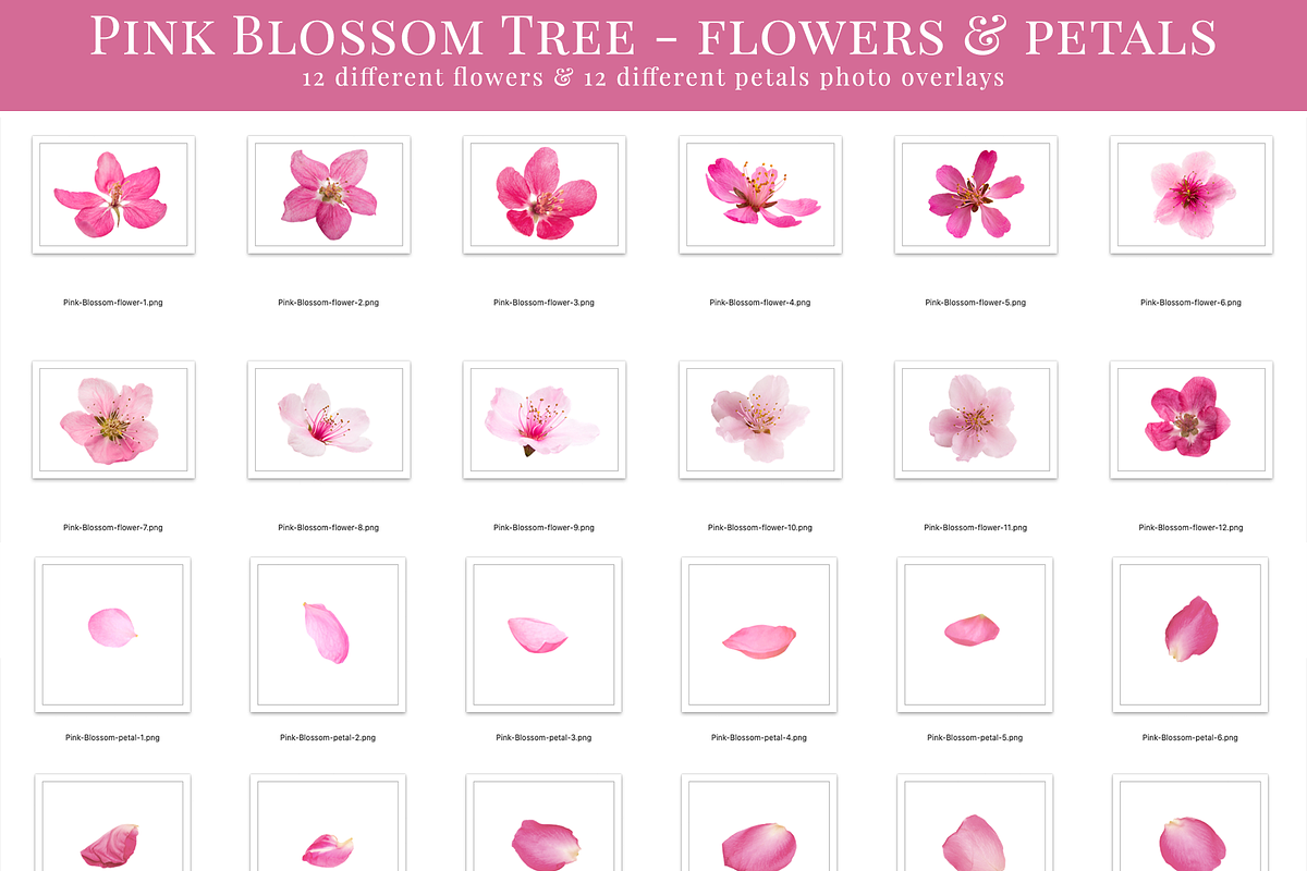 Pink Blossom Tree photo overlays, a Layer Style Add-On by BrownLeopard (Photo 7 of 8)