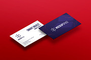 Business Cards - 5 Elegant Mockups, a Print Template by MockupSpace (Thumbnail 11 of 13)
