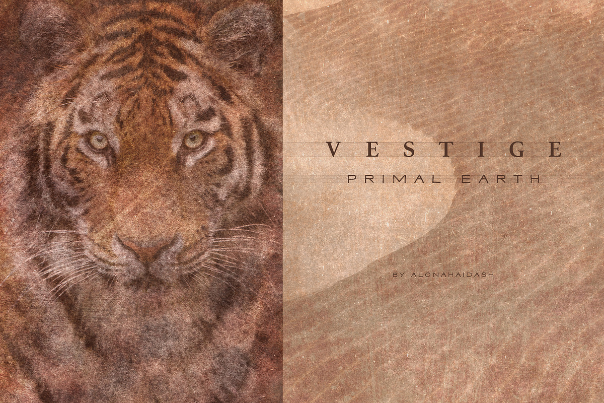Vestige · Primal Earth Backgrounds, a Background Graphic by alonahaidash (Photo 7 of 16)