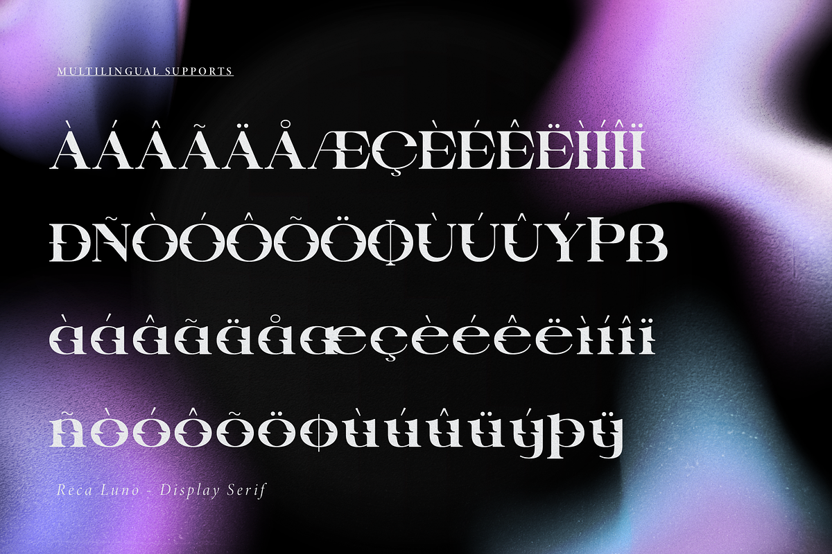 Reca Luno | Display Serif, a Serif Font by gracetype_studio (Photo 11 of 12)
