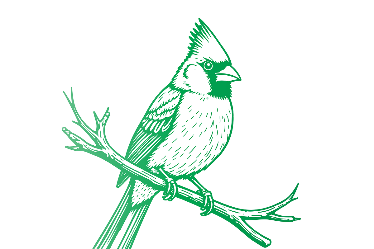 Elegant Cardinal Illustration, a Food Illustration by CarWrap design (Photo 2 of 3)