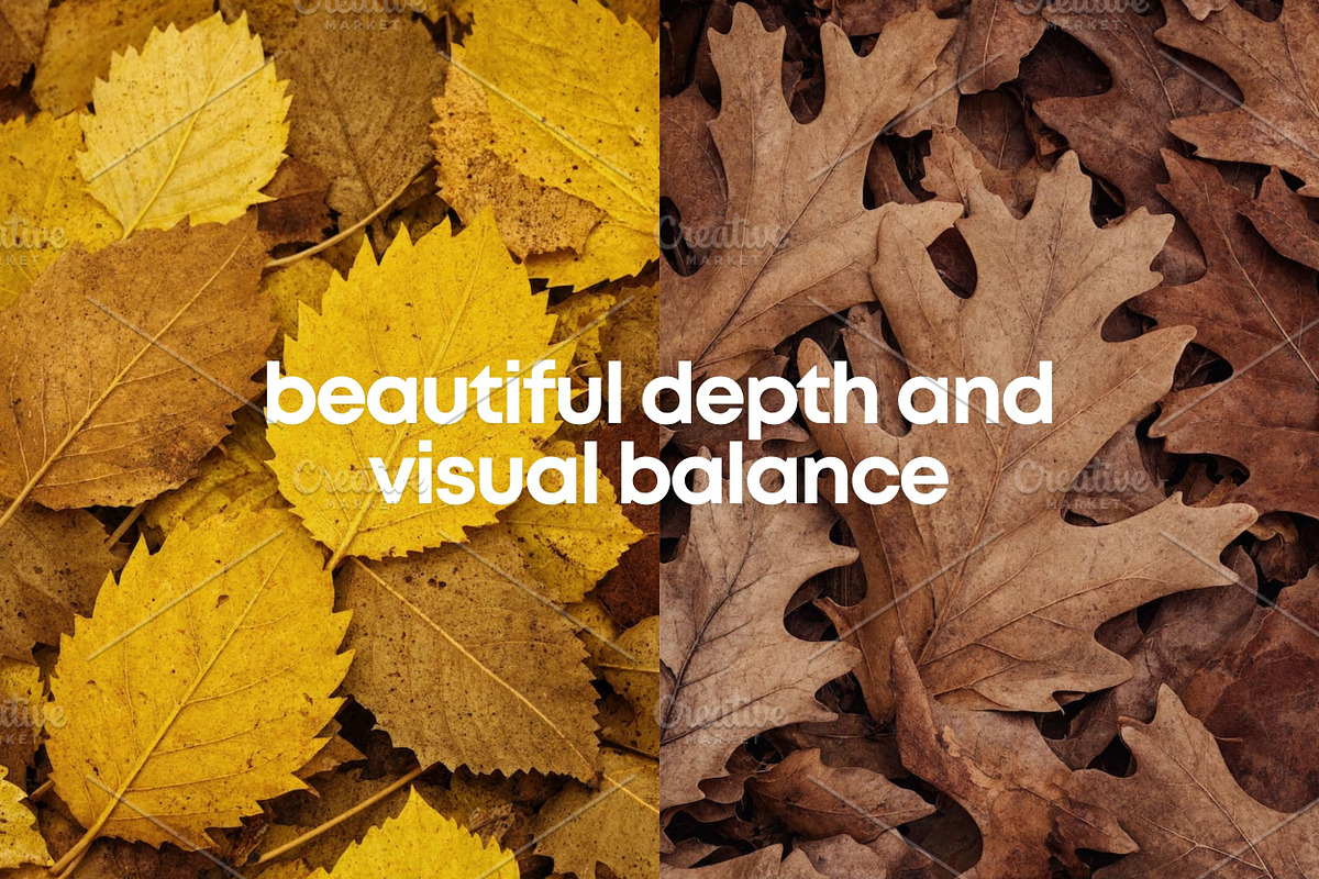 Fall Leaves Background Bundle, a Background Photo by Selenique Studio (Photo 4 of 7)