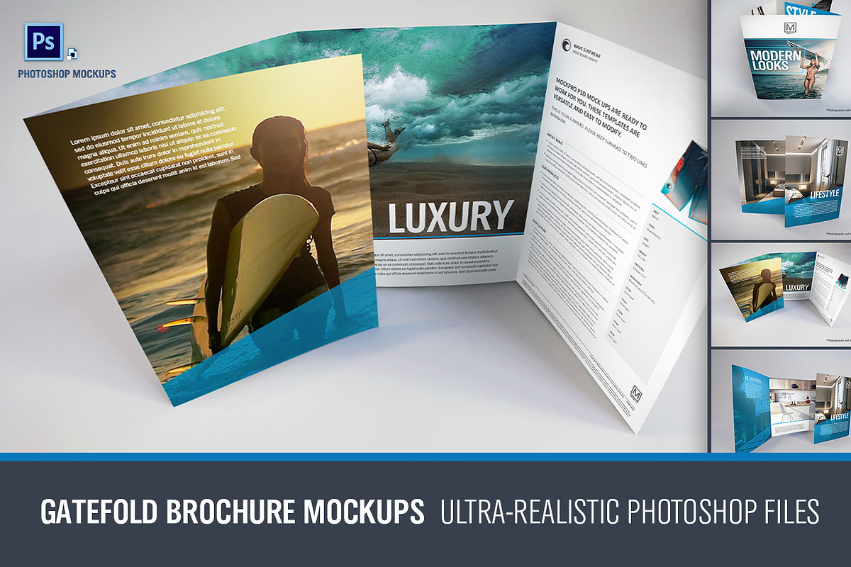Gatefold Brochure Mockups, a Print Template by Shop Mockpro (Photo 1 of 14)