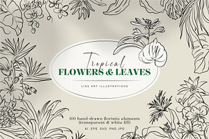 Line Art Tropical Flowers & Leaves