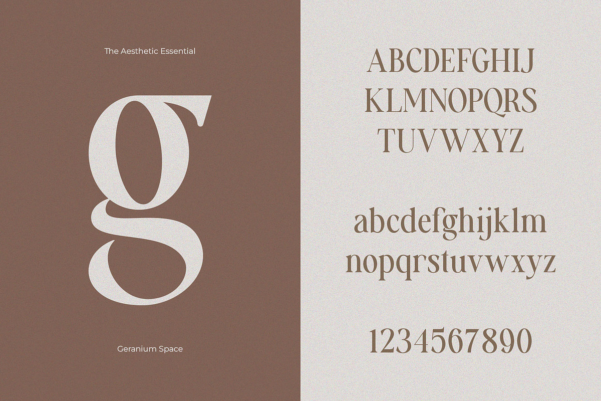 Aesthetic Essential | Modern Serif, a Serif Font by Megi Satyo Widodo (Photo 20 of 22)