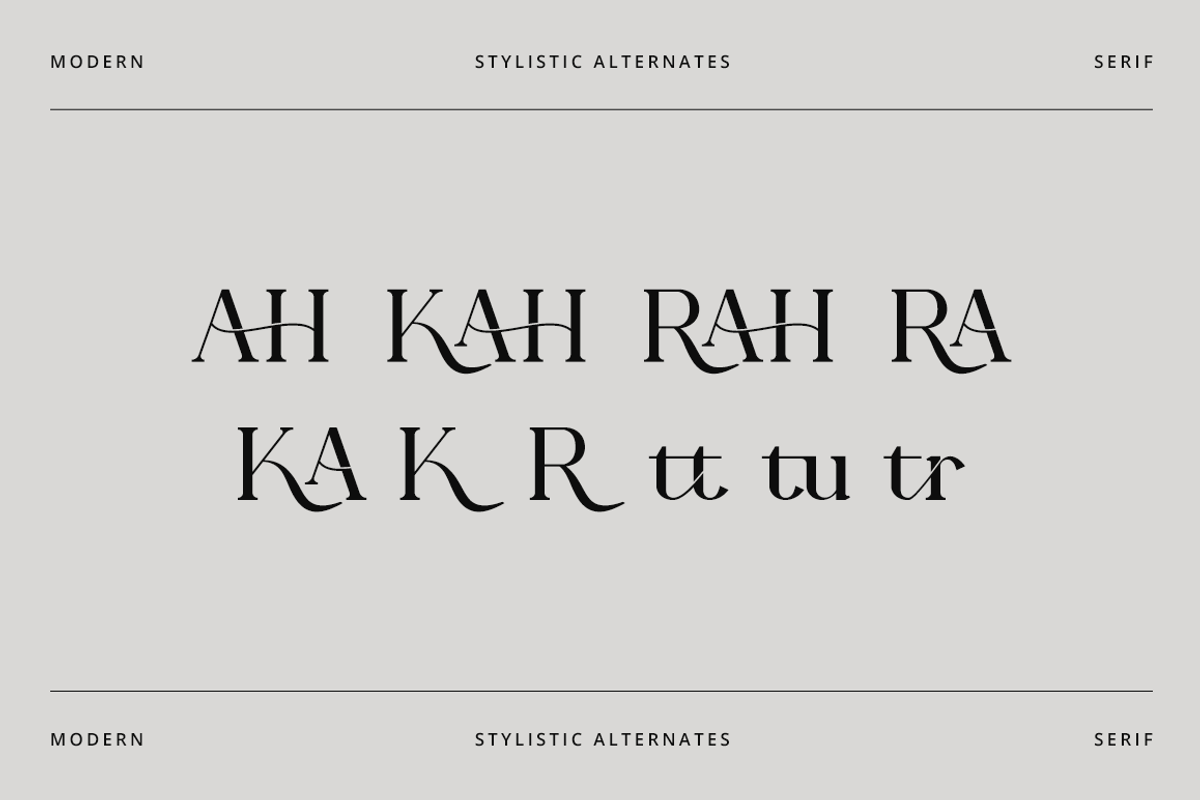 Tarahon - Business Font, a Serif Font by RockboyStd (Photo 11 of 12)