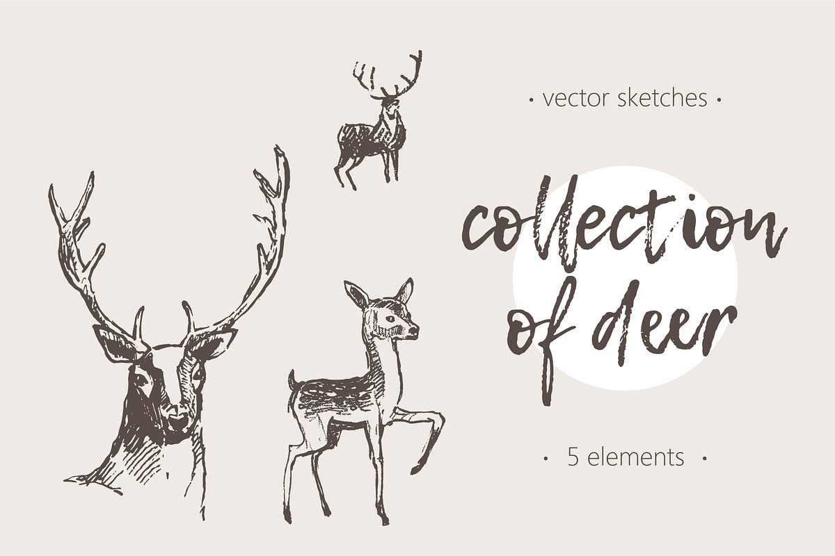 Hand drawn collection of deer, an Animal Illustration by TheMountBirdStudio (Photo 1 of 6)