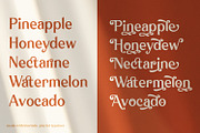 Klarinda Playful Serif Font, a Serif Font by Typetemp Studio (Thumbnail 17 of 21)