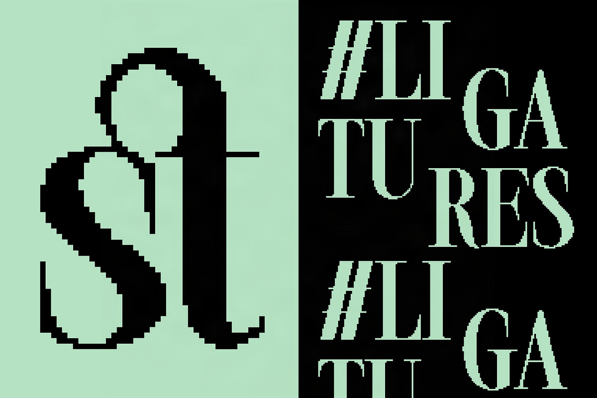 The Silver Editorial Pixel Version, a Serif Font by SilverStag Type Foundry (Photo 15 of 20)