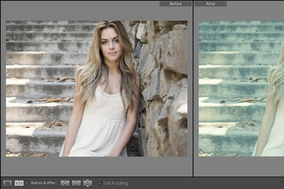 Cinematic Lightroom Preset By Cmsvec, a Plug-in Add-On by CMSvec (Photo 6 of 10)