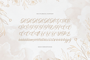 Sirclair Miwareta Beauty Calligraphy, a Script Font by Denustudios (Thumbnail 11 of 12)