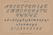 Manteman - Monoline Script Font, a Script Font by Zarma Type (Thumbnail 4 of 11)