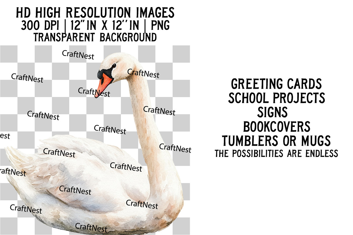 Cute Birds Clipart, an Illustration by Craft Nest (Photo 2 of 6)