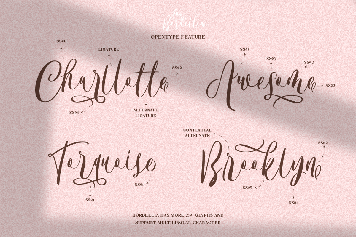 The Bordellia Font Duo, a Script Font by Angin Studio (Photo 7 of 15)