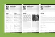 Big Set of Professional Resumes 1, a Resume Template by DEFNST (Thumbnail 13 of 14)
