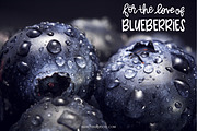 Blueberry Muffin hand drawn font duo, a Sans Serif Font by Nancy Ingersoll (Thumbnail 2 of 6)