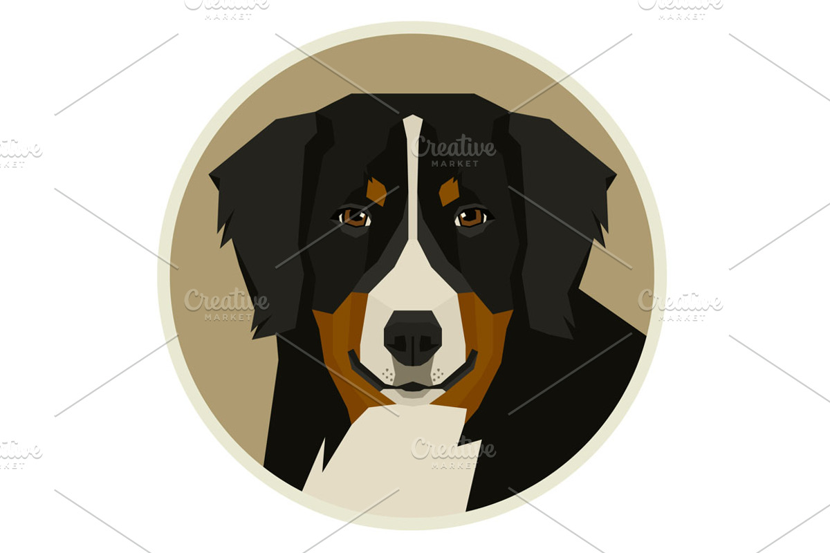 Dog breeds Bernese Mountain Dog, an Animal Illustration by Nenilkime (Photo 3 of 3)