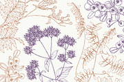 Wild flowers,herbs,herbaceous plants, a Texture Illustration by Good Studio (Thumbnail 22 of 22)