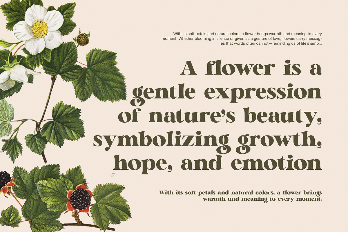 Magil Elegant Serif Font, a Serif Font by Perfectype (Photo 5 of 8)