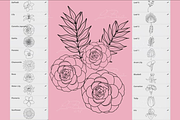 20 Floral Stamp Set for Procreate, a Brush Add-On by LiuBi Art (Thumbnail 2 of 2)