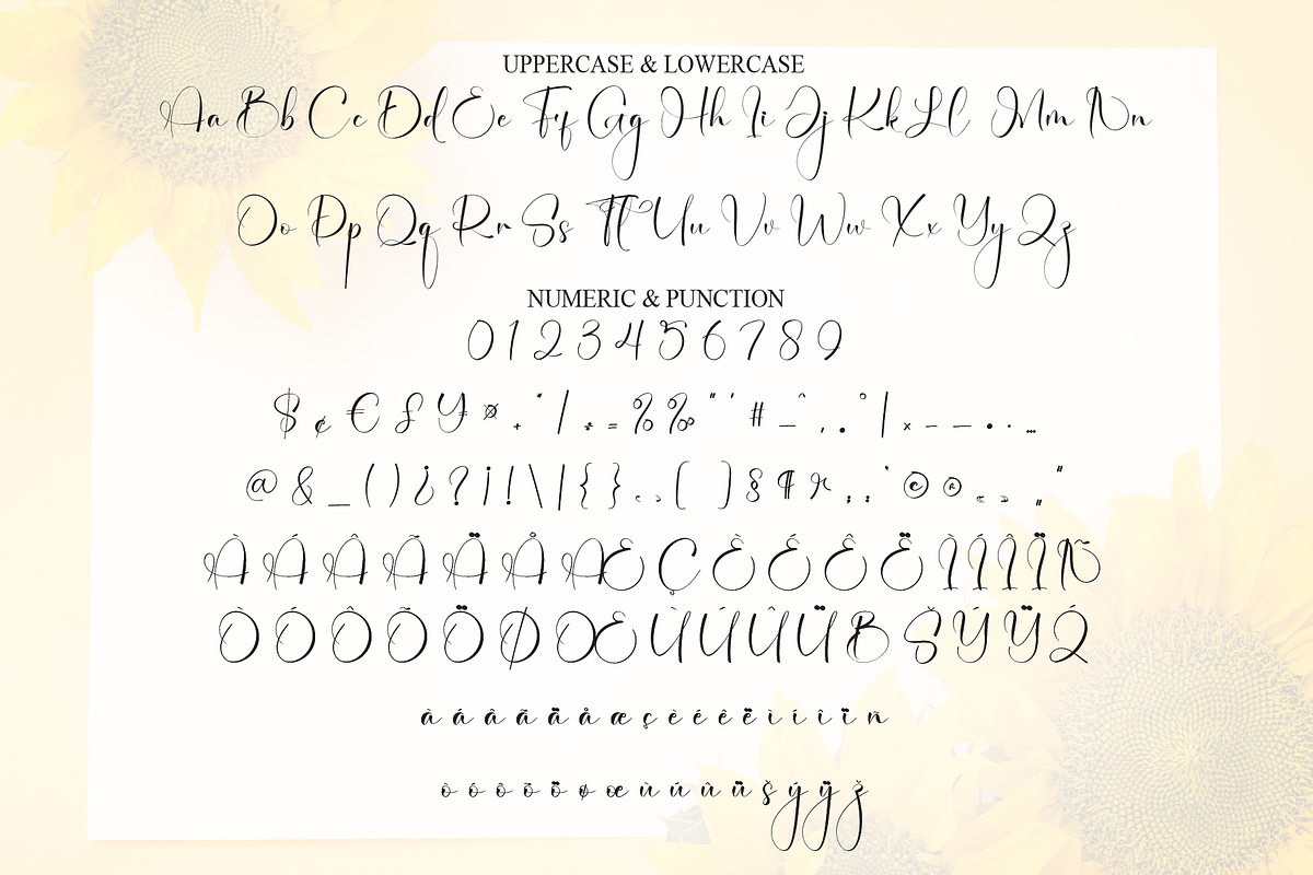 Lettering Sunflower | Script Font, a Handwritten Font by Scratchones