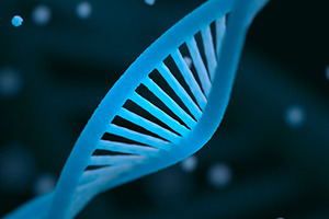 Dna chain macro