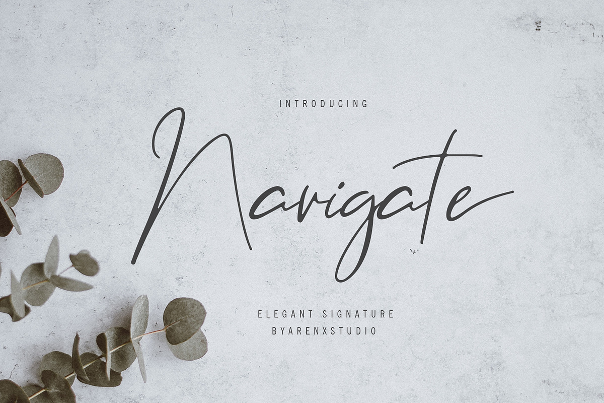 Navigate - Elegant Signature