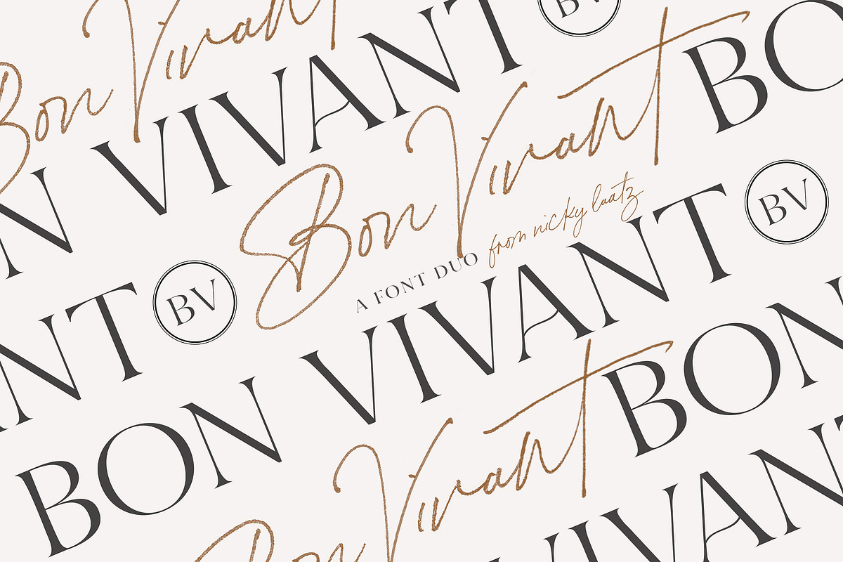Bon Vivant Collection, a Serif Font by Nicky Laatz (Photo 1 of 44)