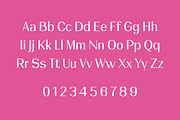 Civika, a Sans Serif Font by BiancaXavier (Thumbnail 6 of 9)