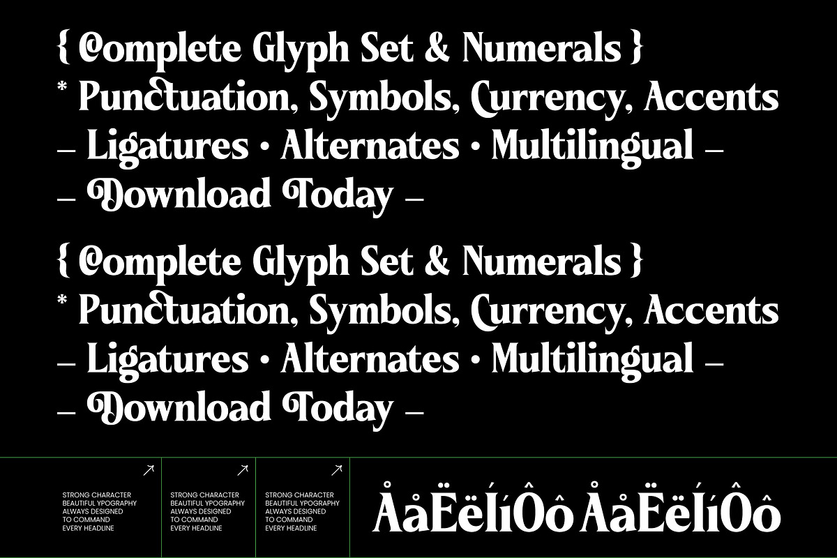 Brengthe Modern Editorial Serif, a Serif Font by timelesstype.co (Photo 5 of 10)