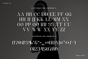 Zasqie - Modern Serif Font, a Serif Font by overlaytemplates (Thumbnail 5 of 5)