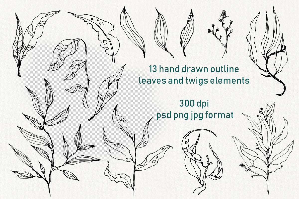 Lineart floral leaves patterns, a Texture Illustration by Dina Guiter (Photo 4 of 20)
