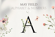 May - Floral Watercolor Collection, a Decorative Illustration by Les Frolova (Thumbnail 8 of 12)