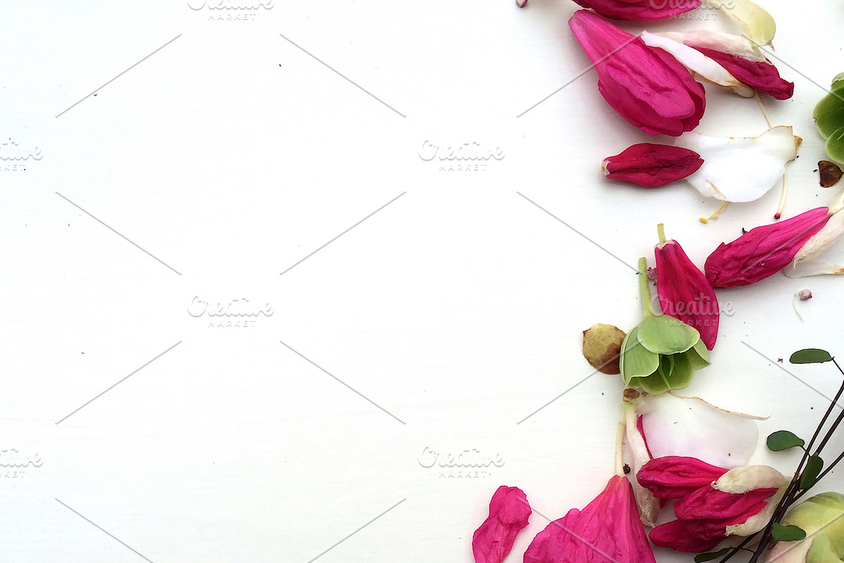 BUNDLES OF BLISS–Styled Stock Photos, a Product Mockup by Pepperbelle Tinkers (Photo 4 of 9)