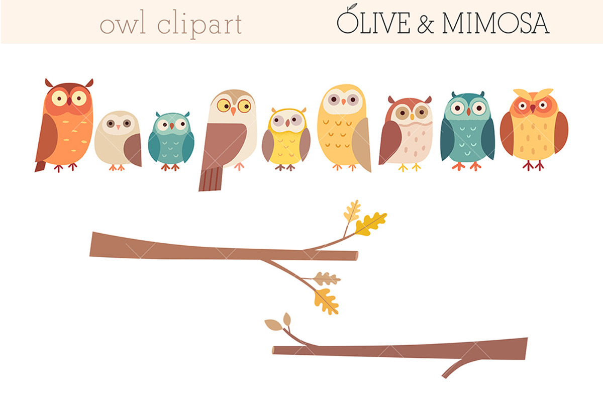 Owl characters set, an Animal Illustration by Olive & Mimosa (Photo 2 of 2)