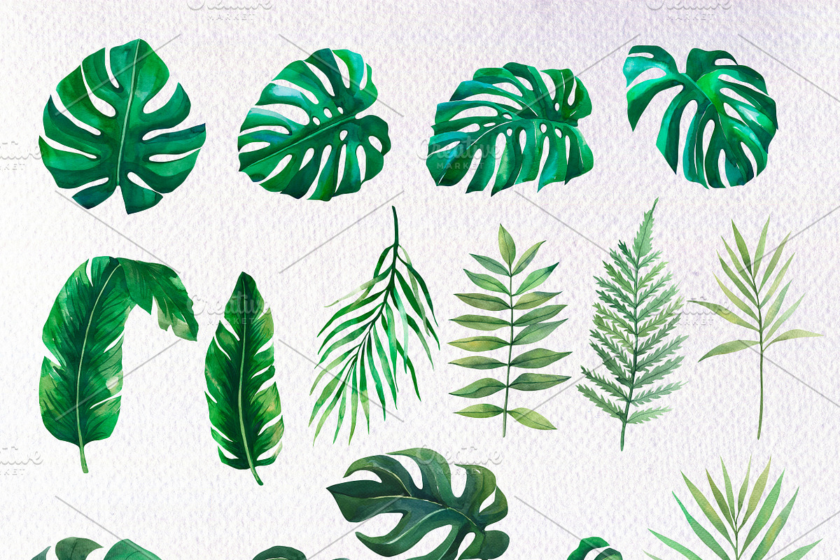 Watercolor Tropical BIG BUNDLE PNG, a Seasonal Illustration by PatternPalette (Photo 4 of 15)