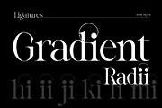 Reichamerina font family, a Serif Font by Ryul Davidson (Thumbnail 18 of 27)